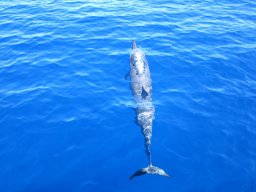 Visite de Célyne et Faf